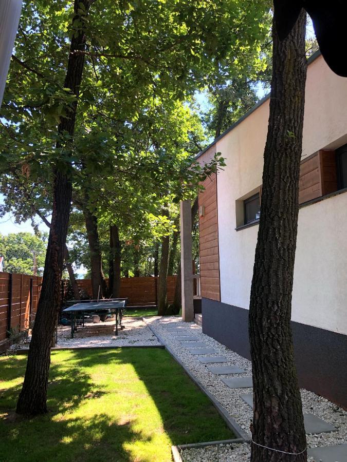 Pine-wood Villa Balatonalmádi