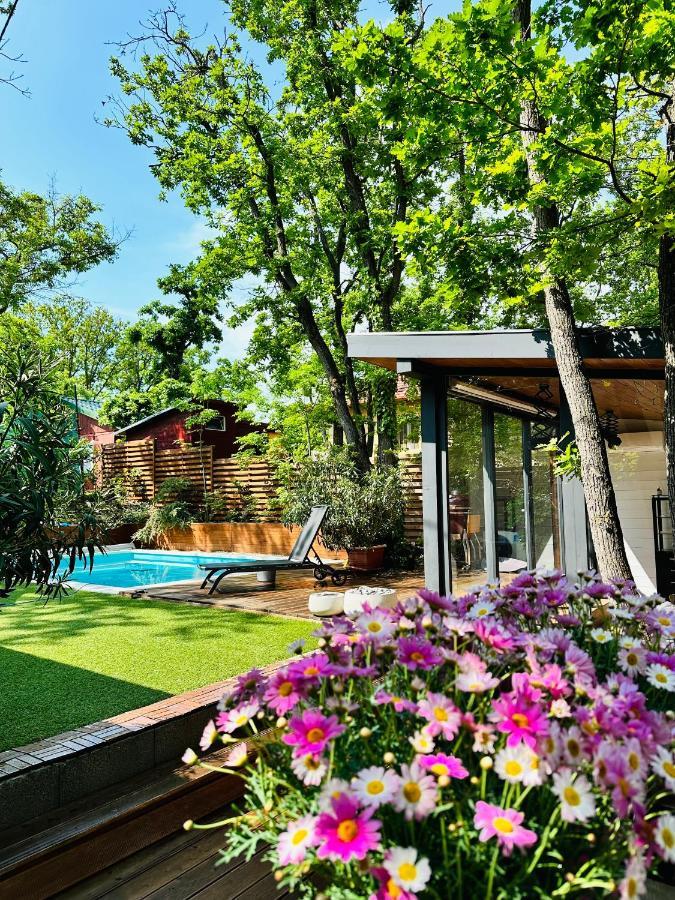 Villa Pine-wood *